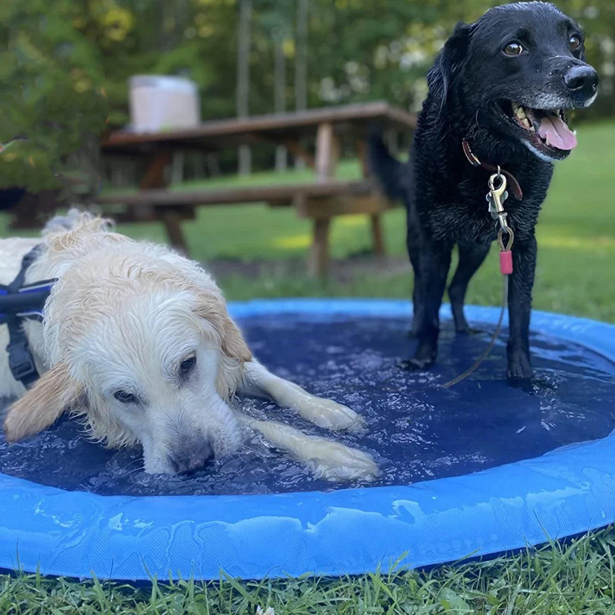 Summer Pet Swimming Pool Inflatable Water Sprinkler Pad