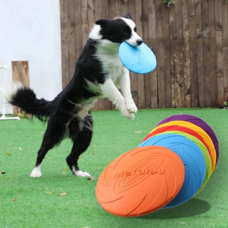 Bite-Resistant Flying Disc – Multifunctional Dog Training Toy